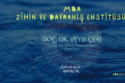 Antalya | Çocuk ve Genç Psikiyatrisi | Doç. Dr. Veysi Çeri, Çocuk ve Genç Psikiyatristi & Psikoterapist